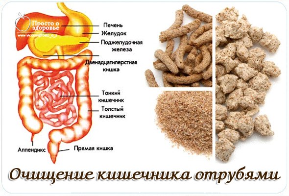 Чистка кишечника в домашних условиях без вреда Чистка кишечника в домашних условиях без вреда