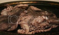 Kuhanje malih hobotnica: tajne najboljih kuhara