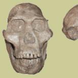 Njerëzit e parë, gjeologë, fosile, Ramapithecus, Australopithecus, Homo habilis, Homo erectus, Homo sapiens, Homo sapiens neanderthalensis, galeria e paraardhësve, zbutja e zjarrit
