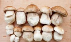 Маринування білих грибів без стерилізації