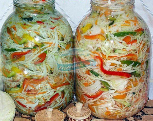 капуста маринованная без стерилизации капуста маринованная без стерилизации