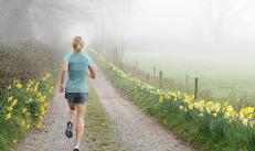 Când este mai bine să alergi: dimineața sau seara?