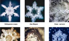 Фотографії заморожених кристалів води