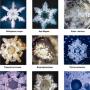 Slike smrznutih kristala vode