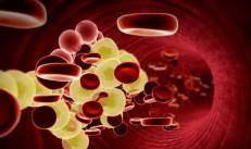 Siguranța colesterolului din sânge